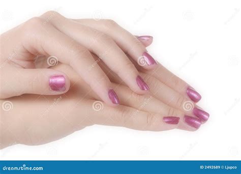 Manicured Female Hands Royalty Free Stock Images Image 2492689