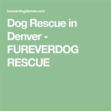 Dear friends, at denver rescue mission, we try to meet people at their points of need, which has been more important than ever during this in order to do this, we collaborated with the city of denv… Dog Rescue in Denver - FUREVERDOG RESCUE | Rescue dogs ...