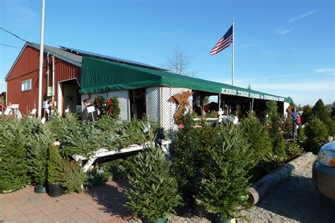 Get decorating with wreaths, sculptures, christmas lights and lawn decorations. Keris Tree Farm & Christmas Shop - Allentown, NJ | Tree farms