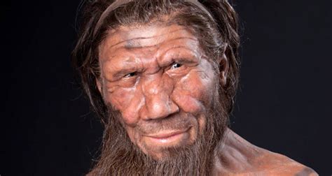 What Are Neanderthals Meet Humanitys Relative Who Went Extinct 40000