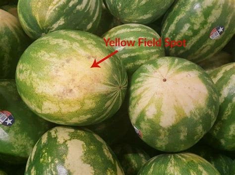 How To Choose A Watermelon Earth Food And Fire