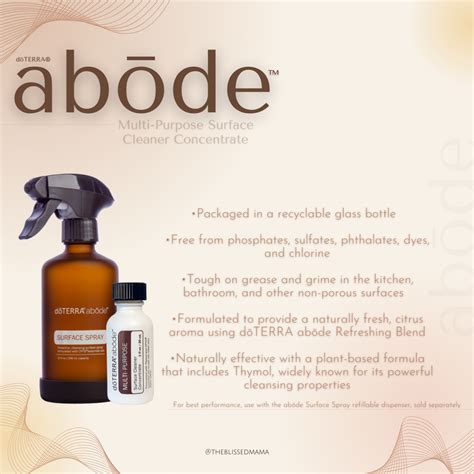 Detox Your Home S Cleaning Routine With DoTERRA S Newest Abode Line