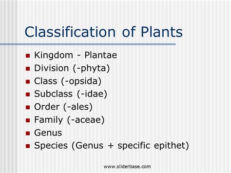 Plants 2 Presentation Plants Animals And Ecosystems