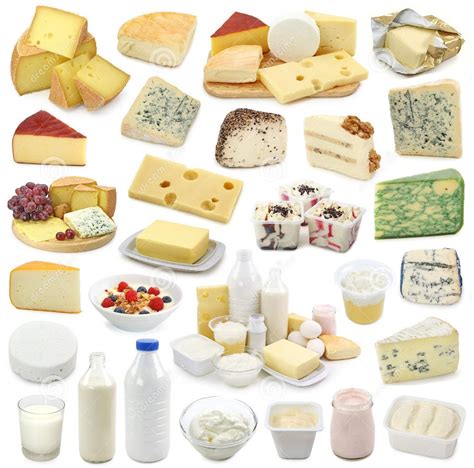 Dairy Products Diagram Quizlet