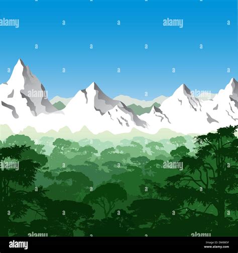 Forest Canopy And Mountains Stock Vector Images Alamy