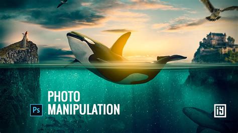 Free Willy Returns Manipulation Tutorial Photo Manipulation Compsite