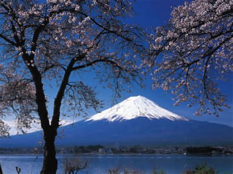 Fuji San Seen From Tokyo Japan By Phonebook Of The