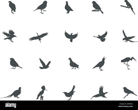 Bird Silhouette Flying Bird Silhouette Bird Silhouettes Bird Clipart
