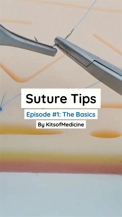 Suture Techniques Suture Basics In 2020 Medical Knowledge Medicine