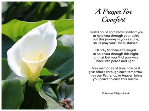 Prayer For Comfort, Angels In Heaven, Prayers, Finding Yourself, Peace