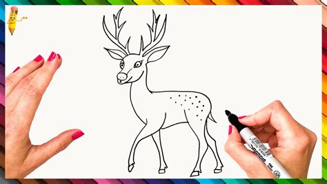 How To Draw A Deer Step By Step 🦌 Deer Drawing Easy Youtube