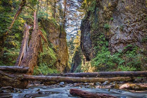 Best Time For Oneonta Gorge In Portland 2024 Best Season Roveme