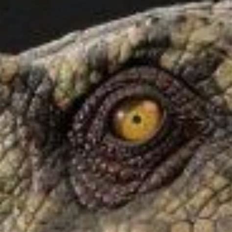 Jurassic Park Dinosaur Eye