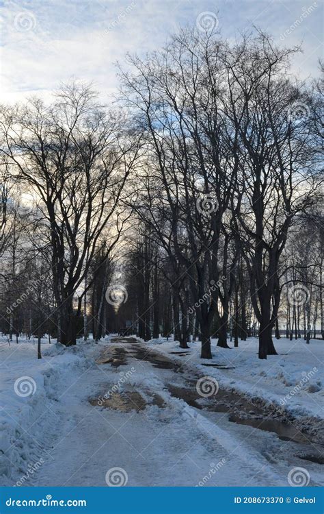 Spring Is Coming The Month Of March Alley In The Park With Melting