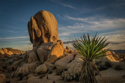 Joshua Tree Rock Formation Photograph By Ed Clark Pixels