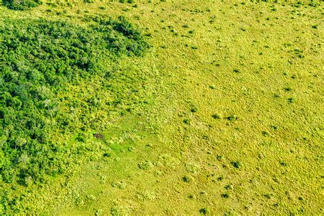 Aerial Of Grassland Congo Stock Image F0318991 Science Photo