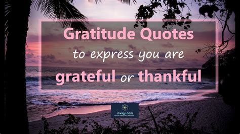 Top 999 Gratitude Quotes Images Amazing Collection Gratitude Quotes
