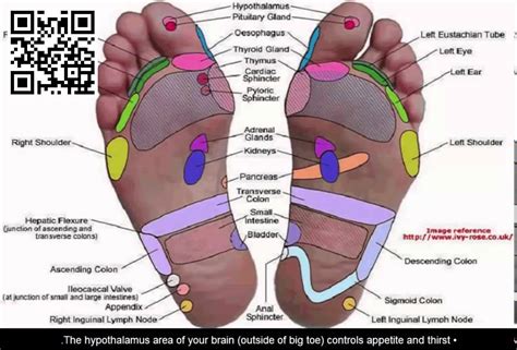 Foot Massage Pressure Points Foot Acupuncture Points Chart Bing