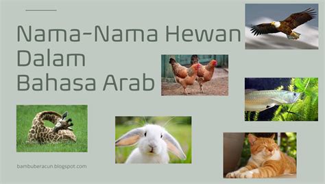 Nama Nama Hewan Dalam Bahasa Arab Bambu Beracun