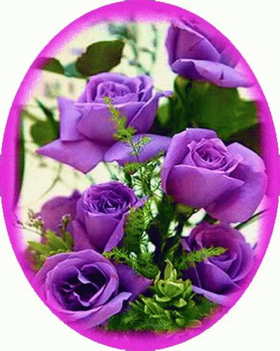 Flowers are one of the most beautiful creations of nature. Purple Flowers GIFs | Tenor