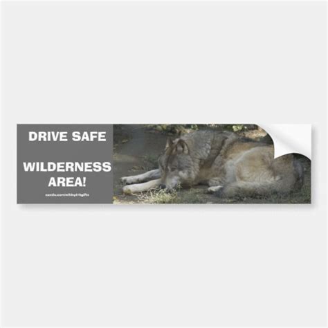 Drive Safe Wildlife Grey Wolf Bumper Sticker Zazzle