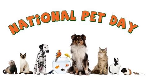 Pet holidays for march 2020. National Pet Day - Aurora Public Library District