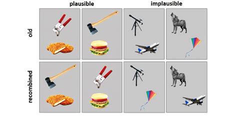 Examples Of Plausible Or Implausible Stimulus Configurations Depicted