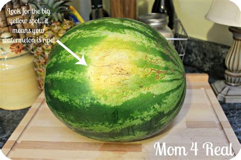 Perfectly Sliced Watermelon Mom 4 Real