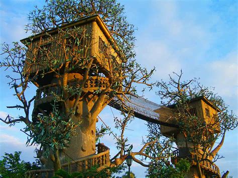 Choose from a curated selection of forest backgrounds. Top 20 Beautiful And Amazing Tree House Wallpapers,Pics