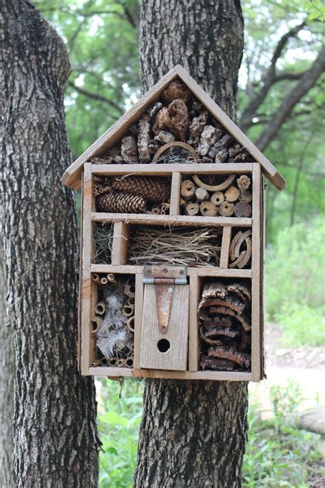 Currently there are 50,919 wallpapers and 351,379 scans. How To Make A Bug Hotel And Give Insects A Place To Stay