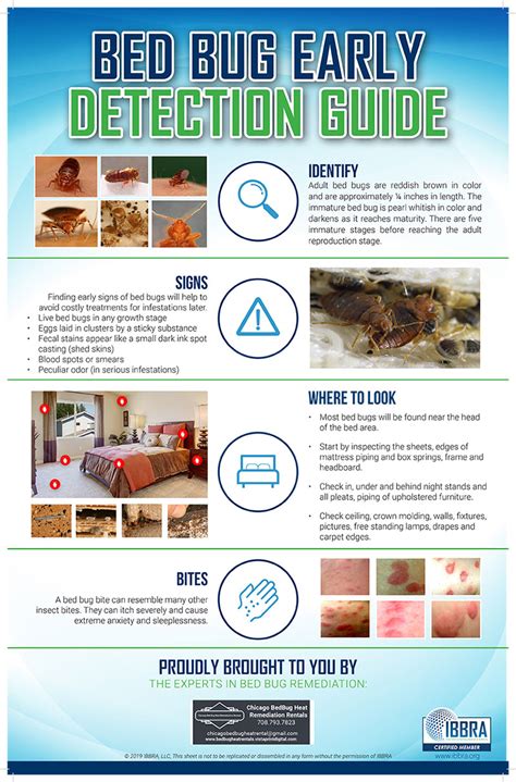 Early Detection Guide Chicago Bed Bug Killer