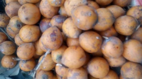 welcome to your health blog 12 health benefits of african star apple you may not know