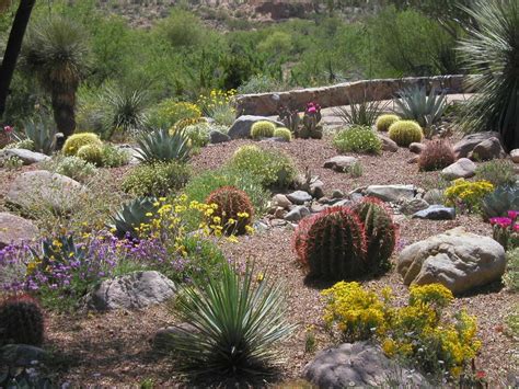 Landscaping With Nature Xeriscape Water Use It Wisely