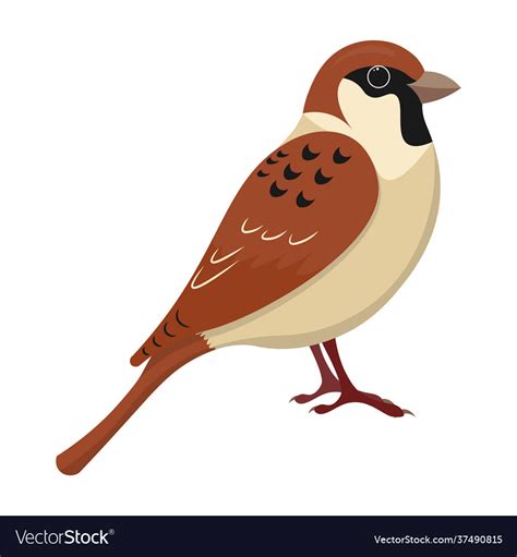Cute Sparrow Cartoon Royalty Free Vector Image