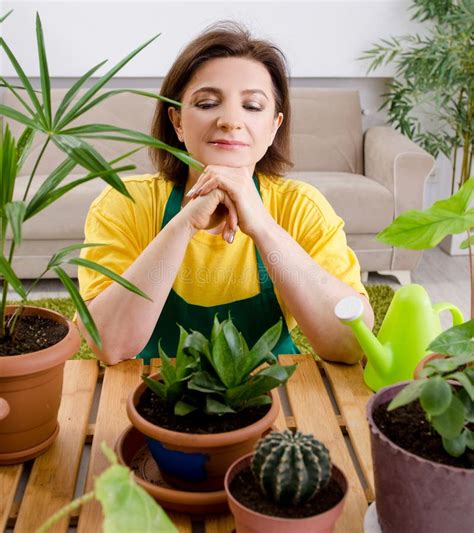 Female Gardener With Plants Indoors Stock Image Image Of Cultivating