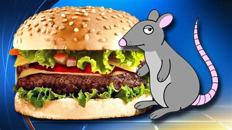 Burgers Found With Human And Rat Dna Study Finds