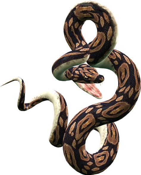 Collection Of Python Snake Png Pluspng