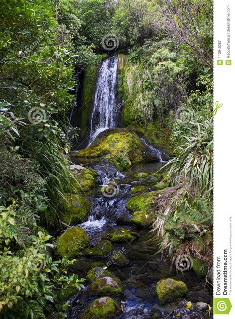 Beaufiful Waterfall And Rocks Covered With Moss Stock Image Image Of