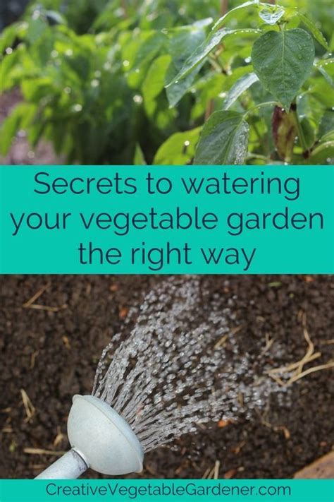 Watering Your Vegetable Garden And Understanding How To Do It Right Is