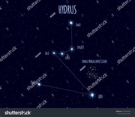 Hydrus Lesser Water Snake Constellation Vector Stock Vector Royalty