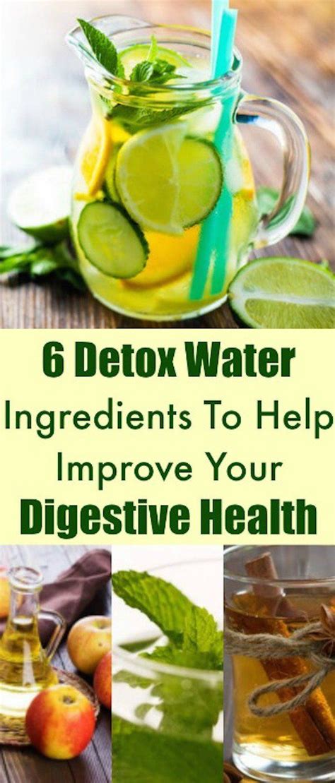 6 Detox Water Ingredients To Help Improve Your Digestive Health