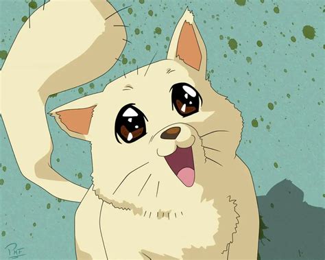10 Cutest Anime Animals Of All Time My Otaku World