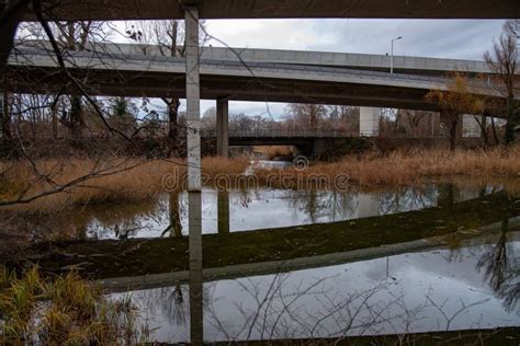 Highway Bridges Across Wetland With Reflection Stock Photo Image Of