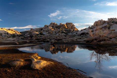Joshua Tree National Park In The Winter Travel Guide