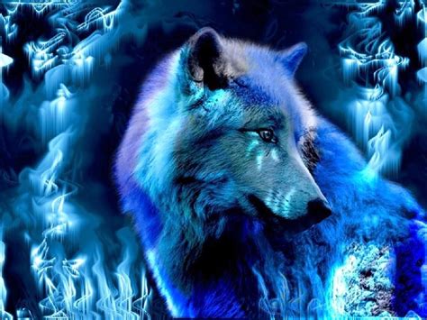 Blue Wolf Wallpapers Top Free Blue Wolf Backgrounds Wallpaperaccess