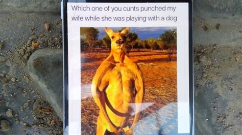Man Punches Kangaroo Reply From Hubby Youtube
