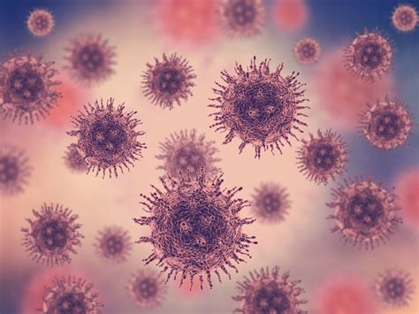 Virus Y Bacterias Qué Son Y En Qué Se Diferencian Caeme