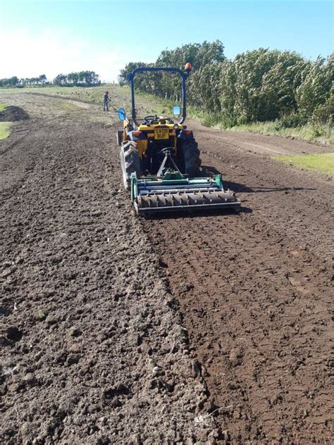 If you stay on top of the drop, they can be picked up when mowing or raking. Grass Seeding | Ewan MacKenzie Gardening Services