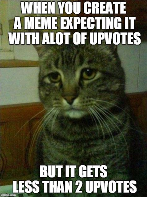 Depressed Cat Memes Imgflip