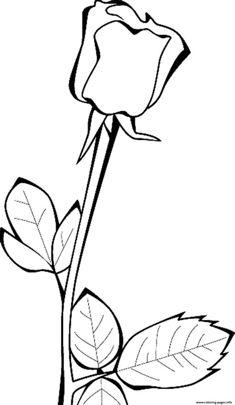 Rose Flowers Real Coloring Pages Printable